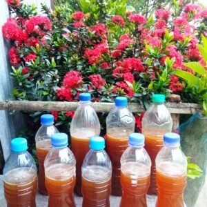 import placeholder for 29406