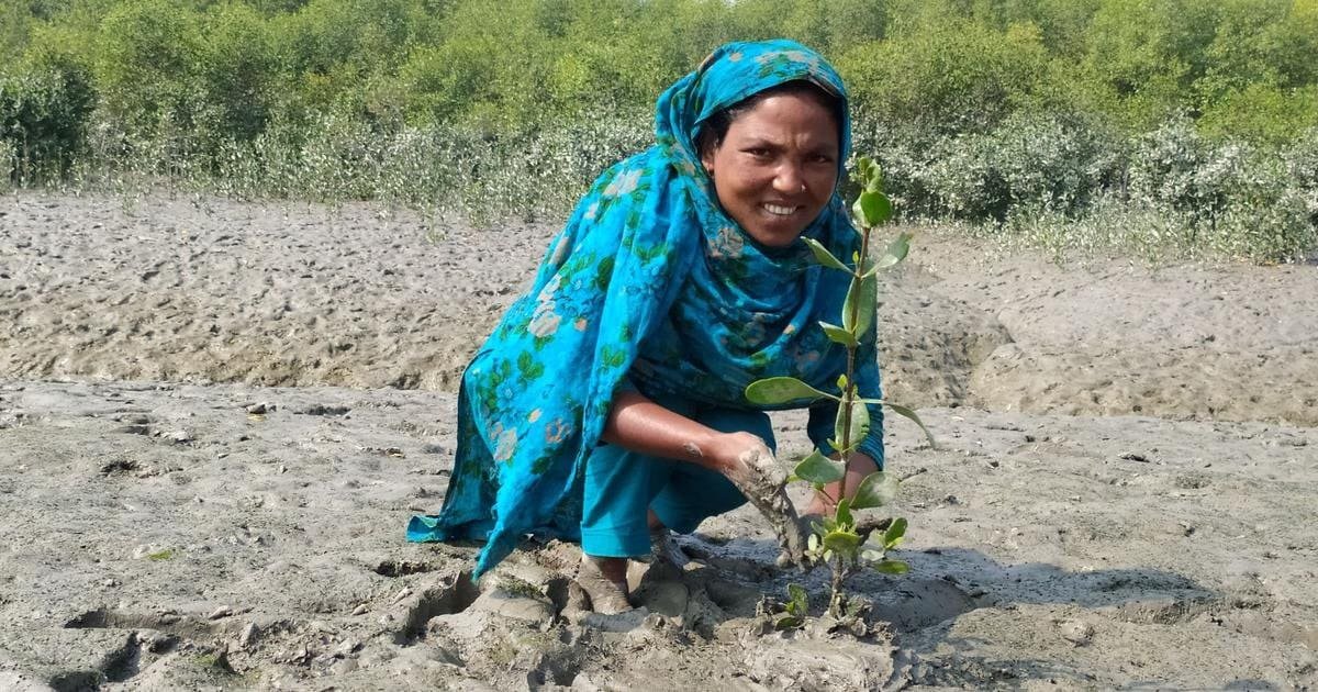 171281 akrfsikvrn 1646832850 (1)