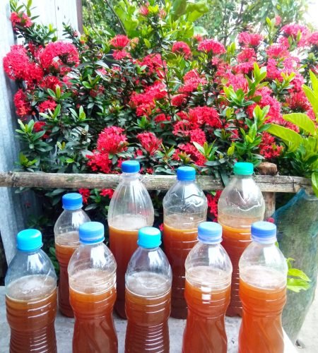 import placeholder for 29406